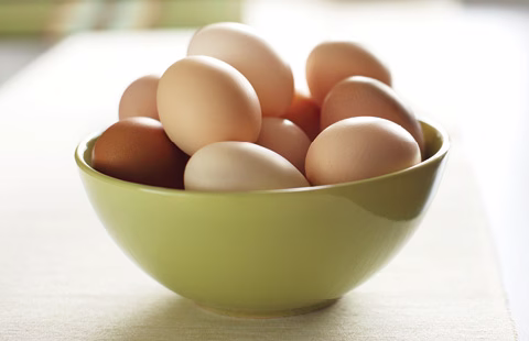 eggs