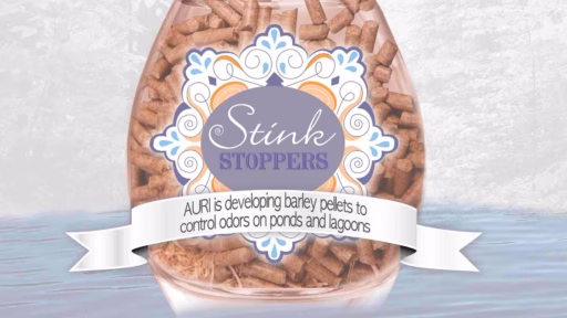 perfume bottle filled with pellets
