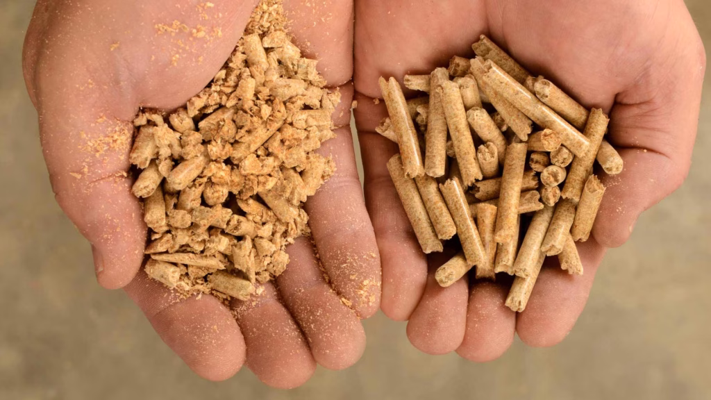 hands with pellets
