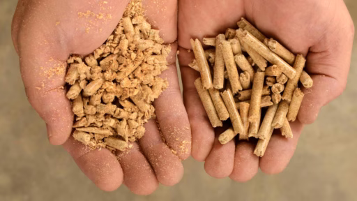 hands with pellets