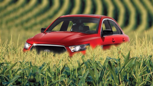 red car in the middle of a corn field