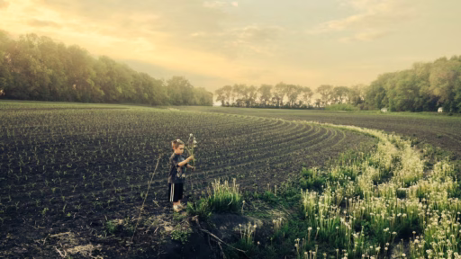 boy in plowed field