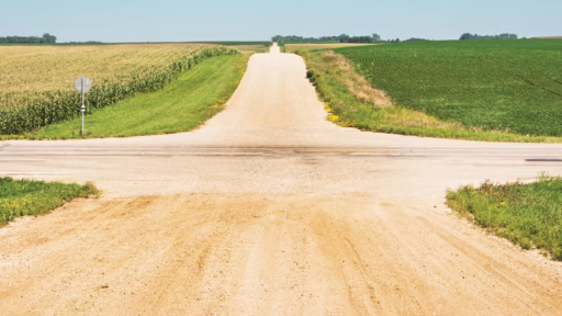 Crossroad of two dirt paths