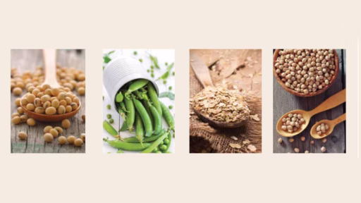 Alternate protein options