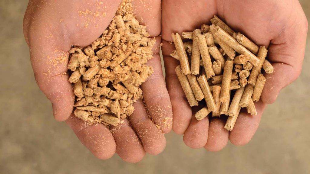 hands holding pellets