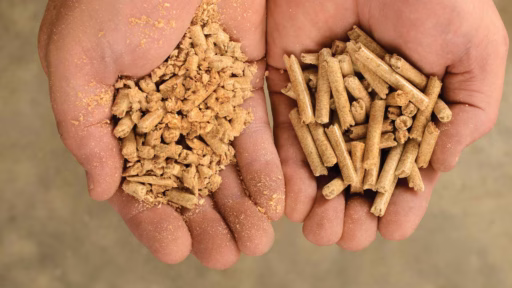 hands holding pellets