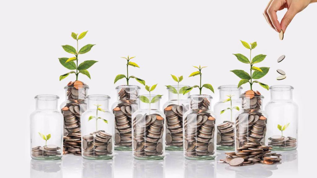 clear jars full of coins with plants sprouting