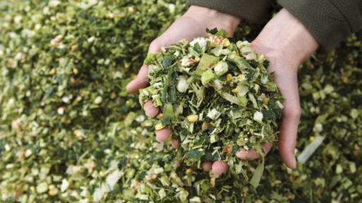 biomass material