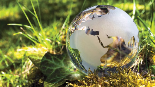 glass globe in green grass