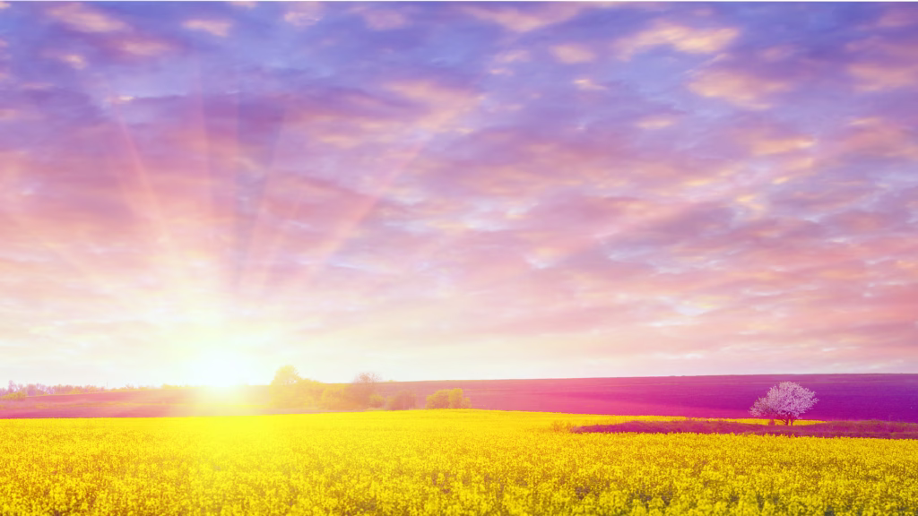 Fields of Innovation