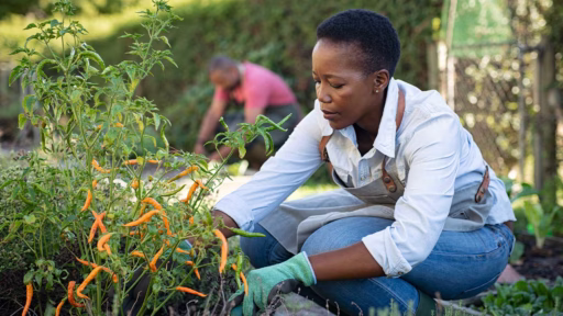 woman in garden
