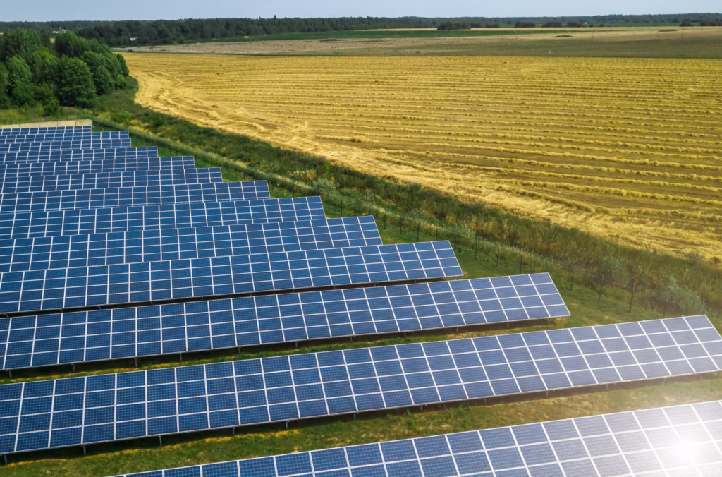 Renewable Energy