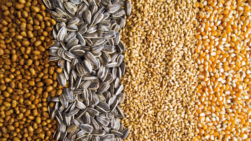 Grains