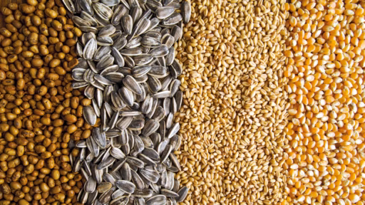 Grains