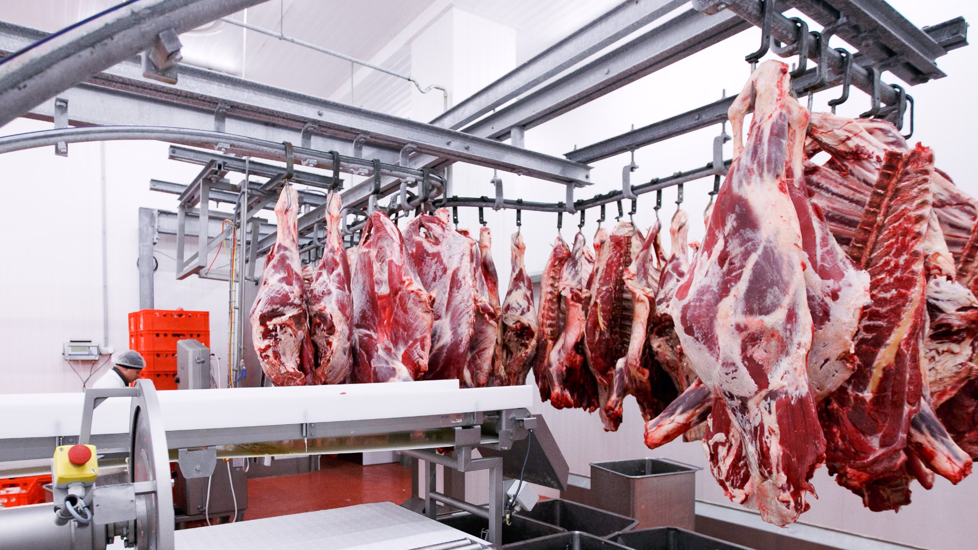 Meat Processor Resources