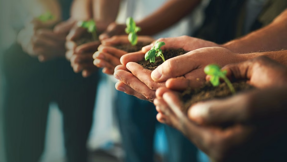 Photo of hands holding soil and plants