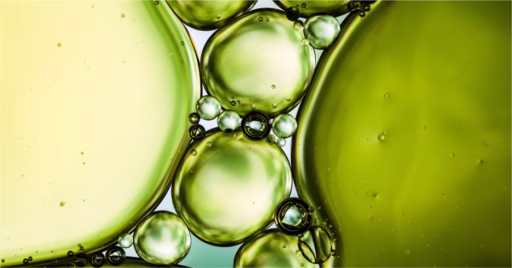 Photo of food molecules
