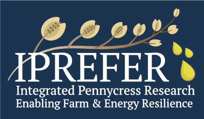 IPREFER logo