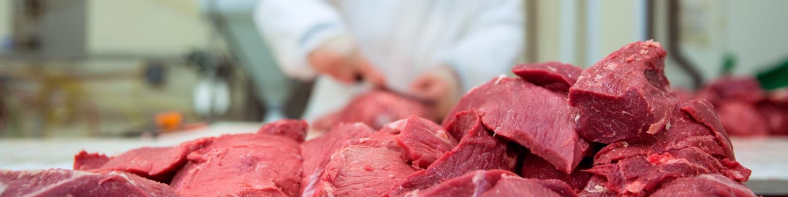 Minnesota Beef