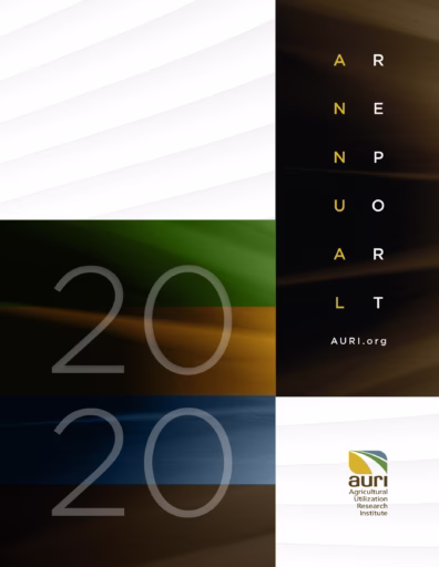 2020 Annual Report