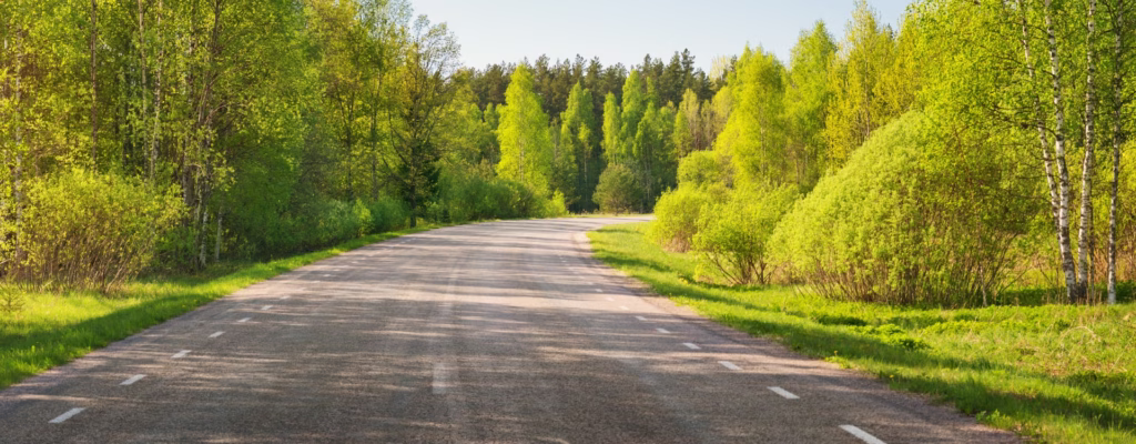 Minnesota Roadway