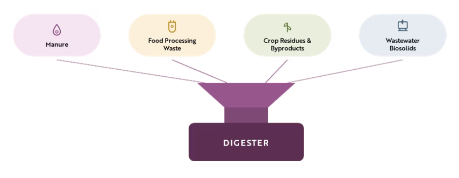 Diagram of four feedstocks (manure, food processing waste, crop residues, wastewater biosolids) converging into an anaerobic digester.